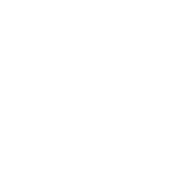 ce logo Knoxville