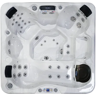 Avalon EC-849L hot tubs for sale in Knoxville